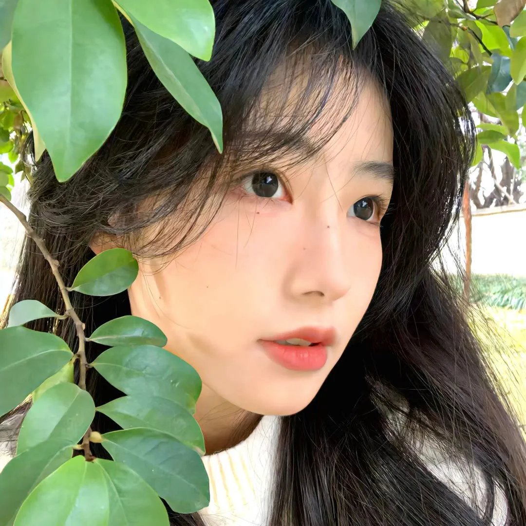 泡芙小姐第七季