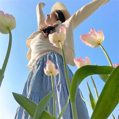 木府风云